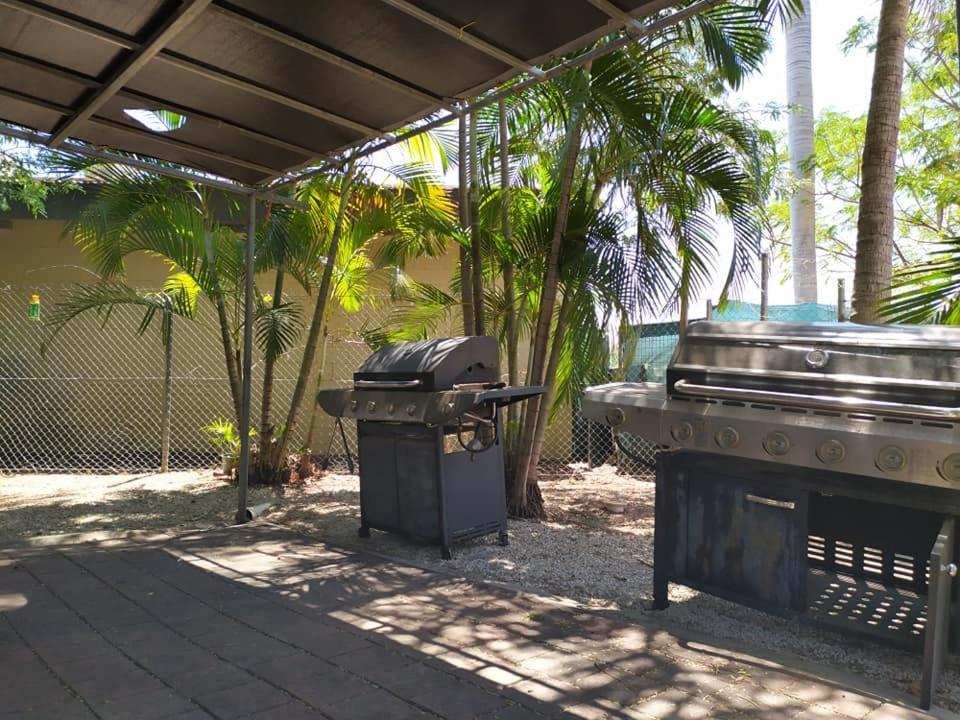 Palm Court Backpackers Albergue Katherine Exterior foto